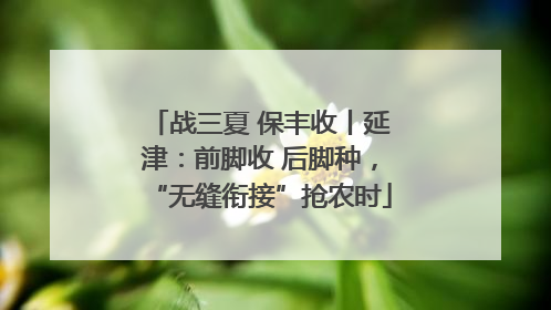 战三夏 保丰收丨延津：前脚收 后脚种，“无缝衔接”抢农时