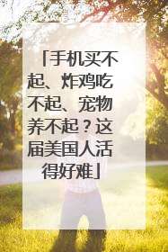 手机买不起、炸鸡吃不起、宠物养不起？这届美国人活得好难