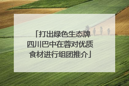 打出绿色生态牌 四川巴中在蓉对优质食材进行组团推介
