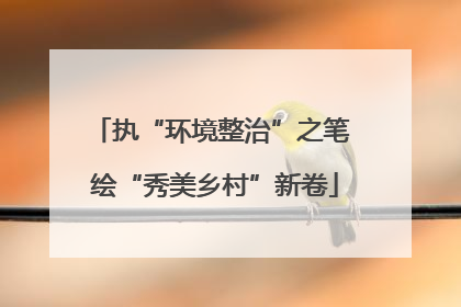 执“环境整治”之笔 绘“秀美乡村”新卷