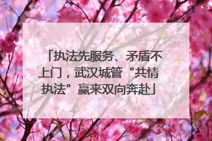 执法先服务、矛盾不上门，武汉城管“共情执法”赢来双向奔赴
