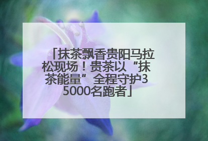 抹茶飘香贵阳马拉松现场！贵茶以“抹茶能量”全程守护35000名跑者