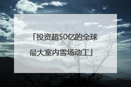 投资超50亿的全球最大室内雪场动工