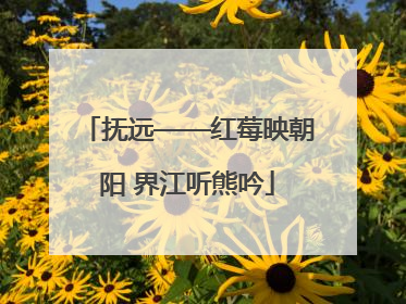 抚远——红莓映朝阳 界江听熊吟