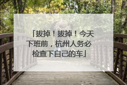 拔掉！拔掉！今天下班前，杭州人务必检查下自己的车
