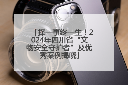 择一事终一生！2024年四川省“文物安全守护者”及优秀案例揭晓