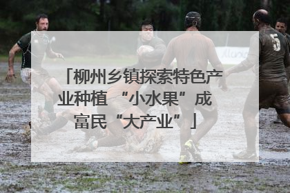 柳州乡镇探索特色产业种植 “小水果”成富民“大产业”