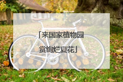 来国家植物园 赏绚烂夏花
