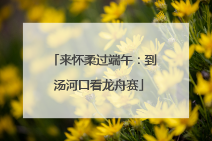 来怀柔过端午：到汤河口看龙舟赛