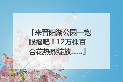 来晋阳湖公园一饱眼福吧！12万株百合花热烈绽放……