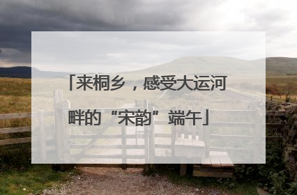 来桐乡，感受大运河畔的“宋韵”端午