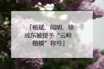 杨斌、闻明、徐成东被授予“云岭楷模”称号