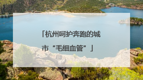 杭州呵护奔跑的城市“毛细血管”