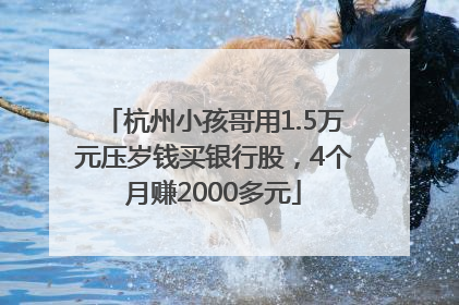 杭州小孩哥用1.5万元压岁钱买银行股，4个月赚2000多元