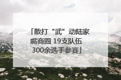 散打“武”动陆家嘴商圈 19支队伍300余选手参赛