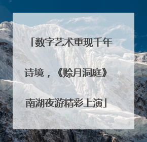 数字艺术重现千年诗境，《赊月洞庭》南湖夜游精彩上演