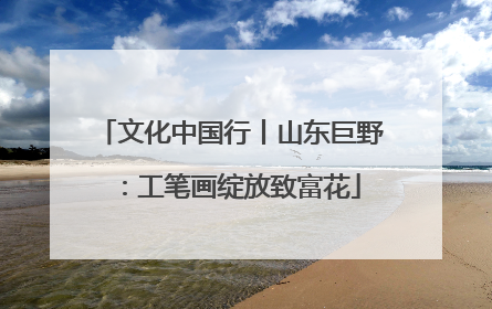 文化中国行丨山东巨野：工笔画绽放致富花