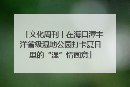 文化周刊丨在海口潭丰洋省级湿地公园打卡夏日里的“湿”情画意