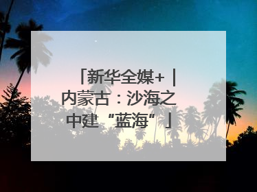 新华全媒+｜内蒙古：沙海之中建“蓝海”