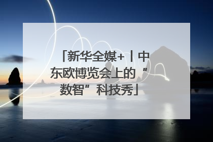 新华全媒+丨中东欧博览会上的“数智”科技秀