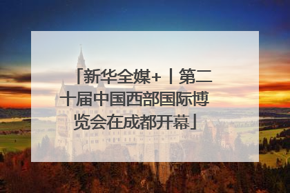 新华全媒+丨第二十届中国西部国际博览会在成都开幕
