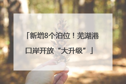 新增8个泊位！芜湖港口岸开放“大升级”
