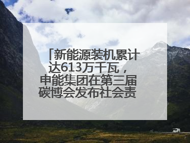 新能源装机累计达613万千瓦，申能集团在第三届碳博会发布社会责任报告