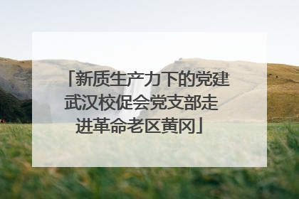 新质生产力下的党建 武汉校促会党支部走进革命老区黄冈