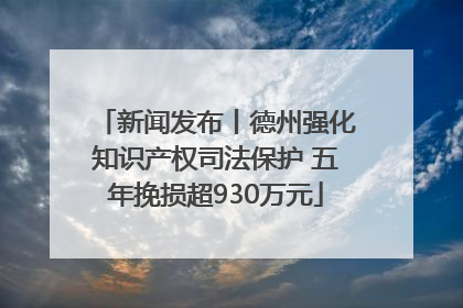新闻发布丨德州强化知识产权司法保护 五年挽损超930万元