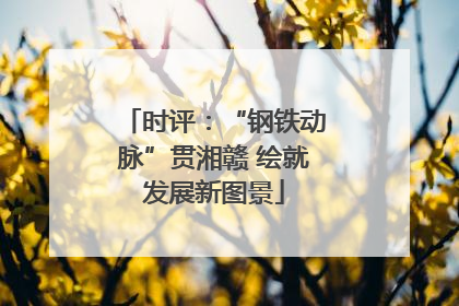 时评：“钢铁动脉”贯湘赣 绘就发展新图景