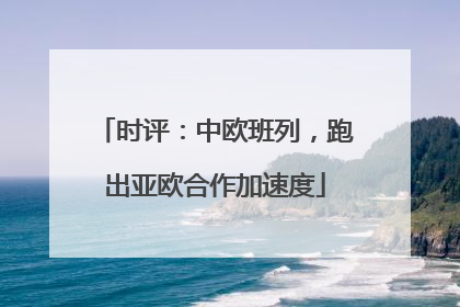 时评：中欧班列，跑出亚欧合作加速度