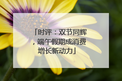时评：双节同辉，端午假期成消费增长新动力