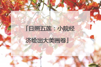 日照五莲：小院经济绘出大美画卷