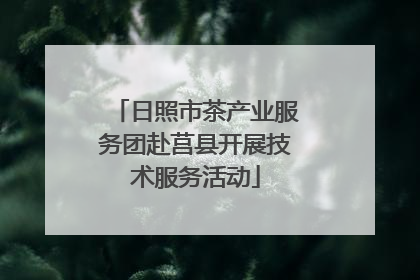 日照市茶产业服务团赴莒县开展技术服务活动