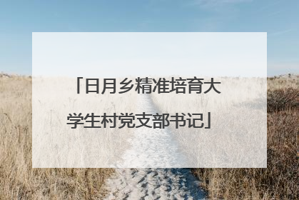 日月乡精准培育大学生村党支部书记