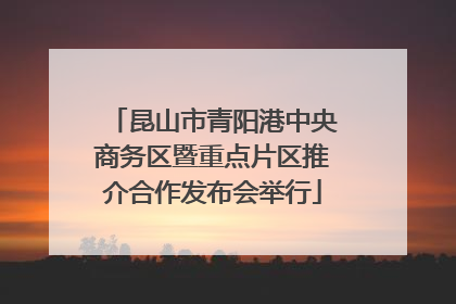 昆山市青阳港中央商务区暨重点片区推介合作发布会举行