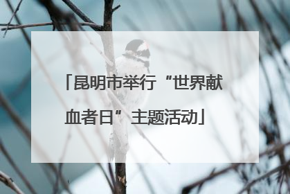 昆明市举行“世界献血者日”主题活动