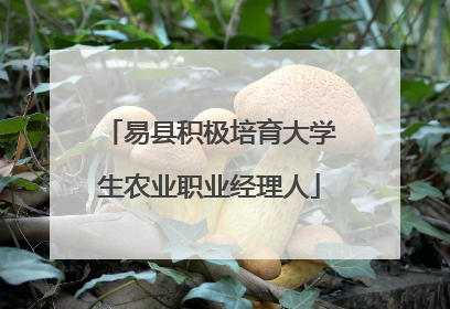 易县积极培育大学生农业职业经理人