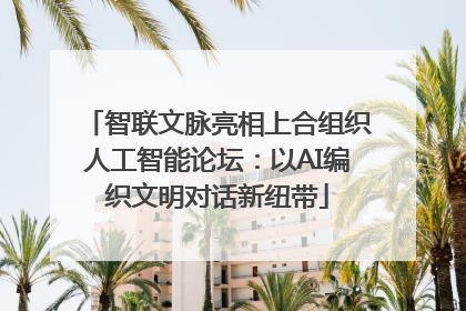 智联文脉亮相上合组织人工智能论坛：以AI编织文明对话新纽带