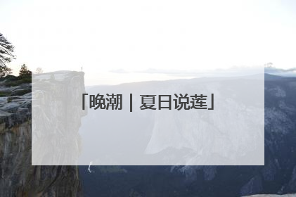 晚潮｜夏日说莲