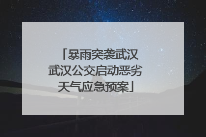 暴雨突袭武汉 武汉公交启动恶劣天气应急预案