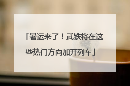 暑运来了！武铁将在这些热门方向加开列车