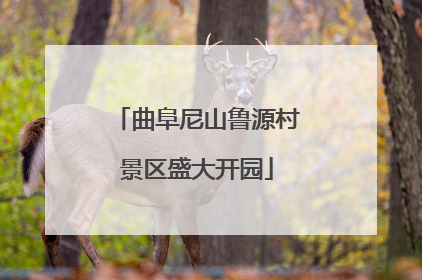 曲阜尼山鲁源村景区盛大开园