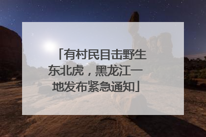 有村民目击野生东北虎，黑龙江一地发布紧急通知