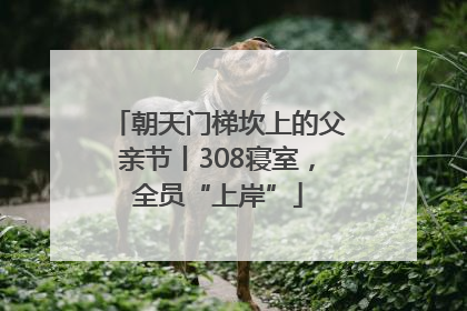 朝天门梯坎上的父亲节丨308寝室，全员“上岸”