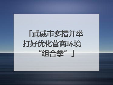 武威市多措并举打好优化营商环境“组合拳”