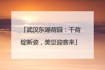 武汉东湖荷园：千荷绽新姿，美景迎客来