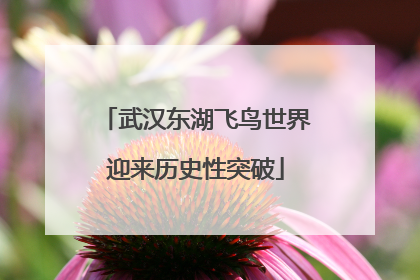 武汉东湖飞鸟世界迎来历史性突破