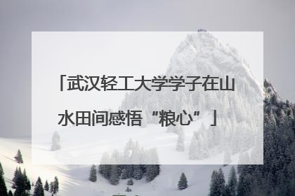 武汉轻工大学学子在山水田间感悟“粮心”