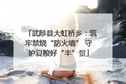 武陟县大虹桥乡：筑牢禁烧“防火墙” 守护夏粮好“丰”景
